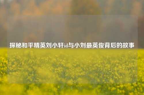 探秘和平精英刘小轩id与小刘最英俊背后的故事