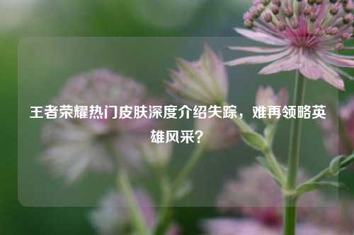 王者荣耀热门皮肤深度介绍失踪,难再领略英雄风采?