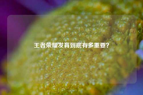 王者荣耀发育到底有多重要?