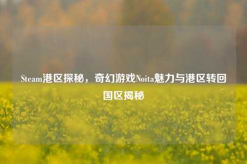 Steam港区探秘，奇幻游戏Noita魅力与港区转回国区揭秘