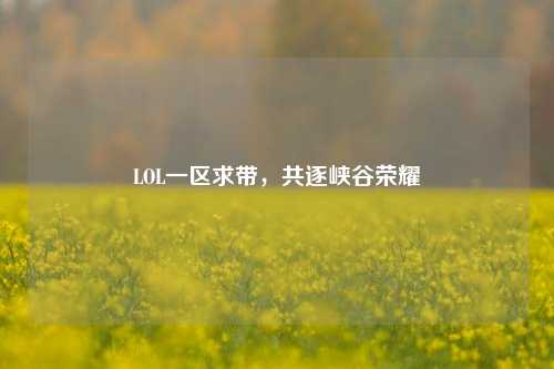 LOL一区求带，共逐峡谷荣耀