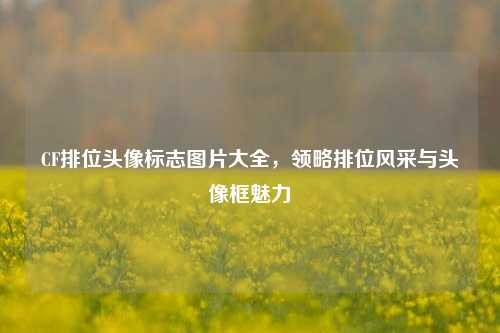 CF排位头像标志图片大全,领略排位风采与头像框魅力
