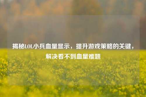 揭秘LOL小兵血量显示,提升游戏策略的关键,解决看不到血量难题