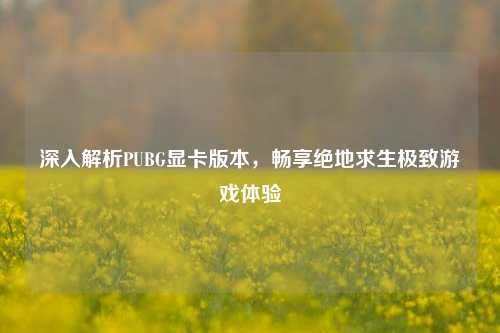 深入解析PUBG显卡版本,畅享绝地求生极致游戏体验