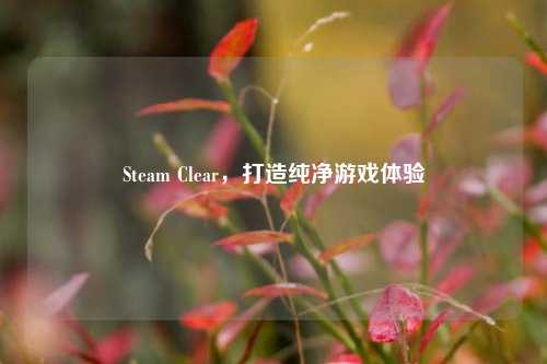 Steam Clear,打造纯净游戏体验