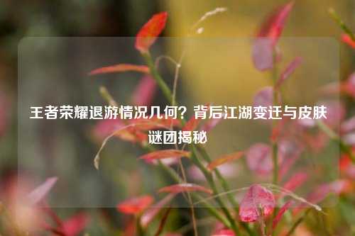 王者荣耀退游情况几何?背后江湖变迁与皮肤谜团揭秘