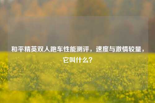 和平精英双人跑车性能测评,速度与***较量,它叫什么?