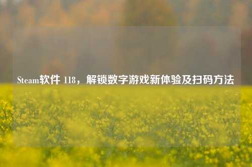 Steam软件 118,解锁数字游戏新体验及扫码