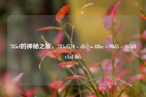 785cf的神秘之旅,785cf570 - dfc2 - 48bc - 90d5 - 467e8c1a1465