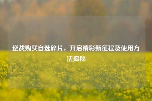 逆战购买自选碎片，开启精彩新征程及使用     揭秘