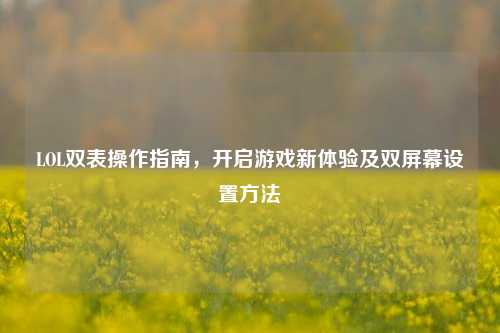 LOL双表操作指南，开启游戏新体验及双屏幕设置     