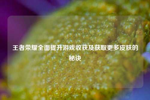 王者荣耀全面提升游戏收获及获取更多皮肤的秘诀
