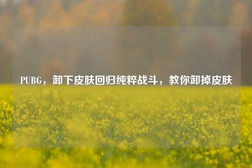 PUBG，卸下皮肤回归纯粹战斗，教你卸掉皮肤
