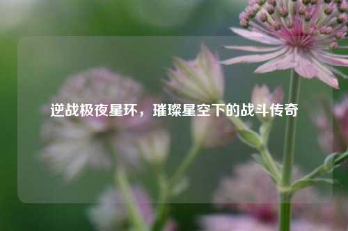 逆战极夜星环，璀璨星空下的战斗传奇