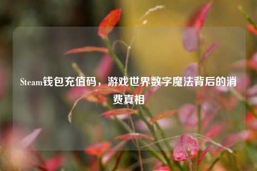 Steam钱包充值码，游戏世界数字魔法背后的消费真相