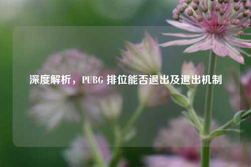深度解析，PUBG 排位能否退出及退出机制