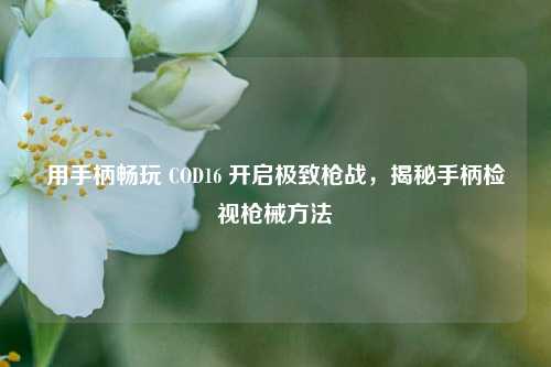 用手柄畅玩 COD16 开启极致枪战，揭秘手柄检视枪械     