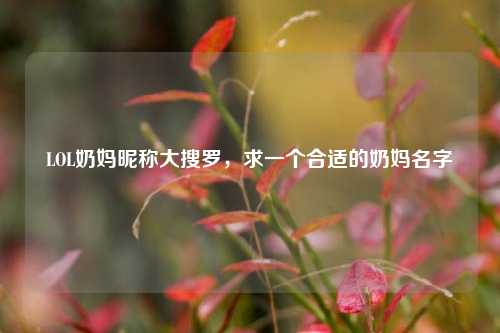 LOL奶妈昵称大搜罗，求一个合适的奶妈名字
