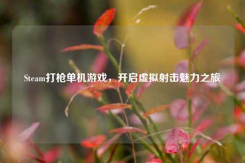 Steam打枪单机游戏，开启虚拟射击魅力之旅