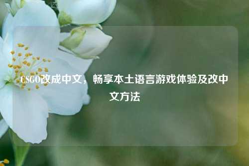CSGO改成中文，畅享本土语言游戏体验及改中文     