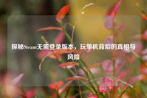 探秘Steam无需登录版本，玩单机背后的真相与风险