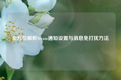 全方位解析Steam通知设置与消息免打扰     