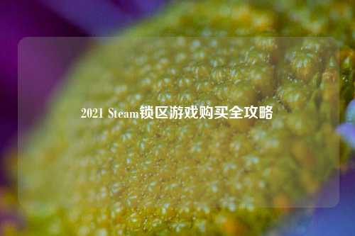 2021 Steam锁区游戏购买全攻略