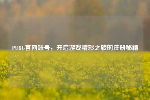 PUBG官网账号，开启游戏精彩之旅的注册秘籍