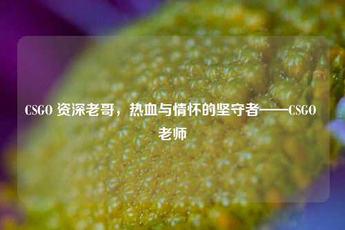 CSGO 资深老哥，热血与情怀的坚守者——CSGO 老师
