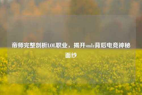 帝师完整剖析LOL职业，揭开***lz背后电竞神秘面纱