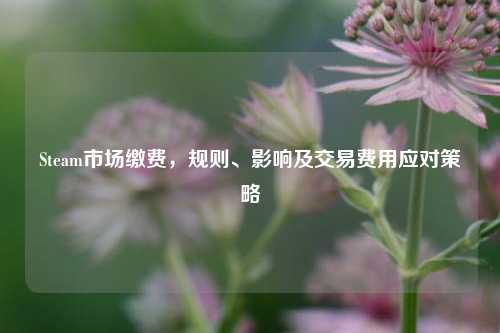 Steam市场缴费，规则、影响及交易费用应对策略