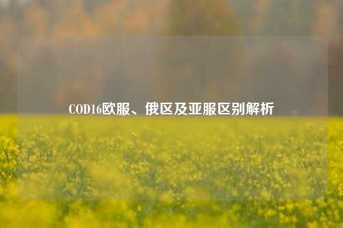 COD16欧服、俄区及亚服区别解析