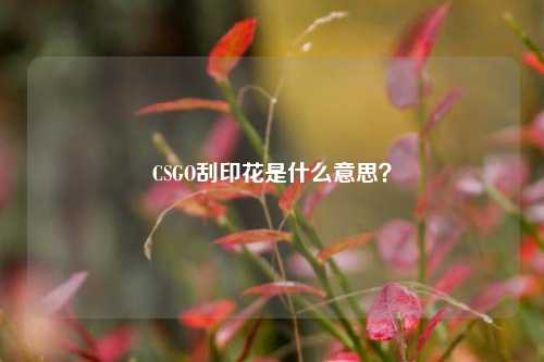 CSGO刮印花是什么意思?