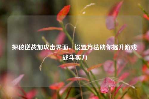 探秘逆战加攻击界面,设置 助你提升游戏战斗实力