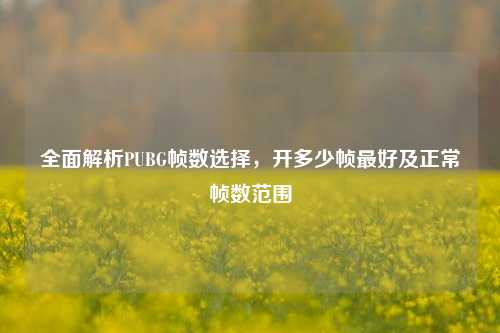 全面解析PUBG帧数选择,开多少帧更好及正常帧数范围