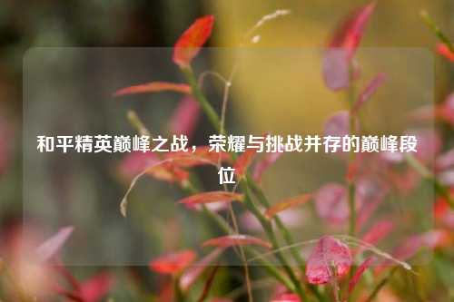和平精英巅峰之战,荣耀与挑战并存的巅峰段位