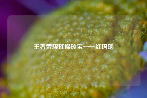 王者荣耀璀璨珍宝——红玛瑙