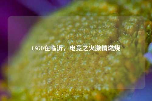 CSGO在临沂,电竞之火***燃烧