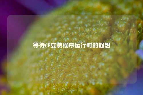 等待CF安装程序运行时的遐想