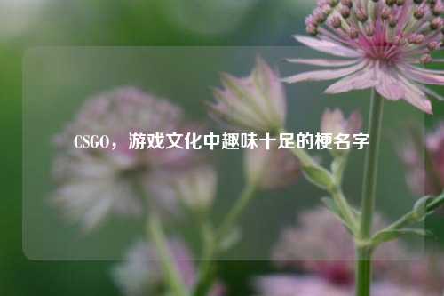 CSGO,游戏文化中趣味十足的梗名字
