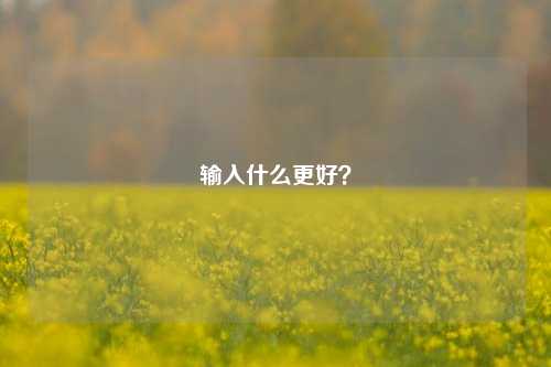 输入什么更好?