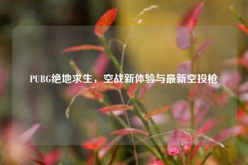 PUBG绝地求生,空战新体验与最新空投枪