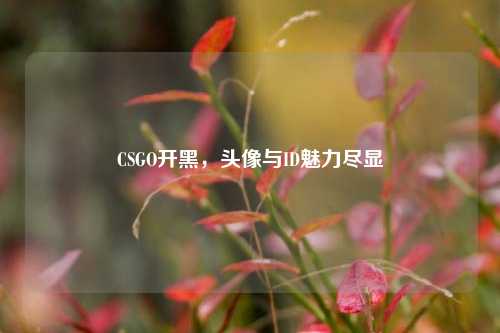 CSGO开黑,头像与ID魅力尽显