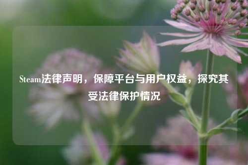 Steam法律声明,保障平台与用户权益,探究其受法律保护情况