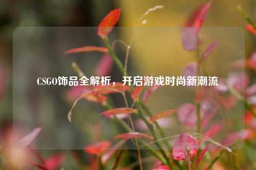 CSGO饰品全解析,开启游戏时尚新潮流