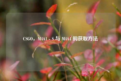 CSGO,M4A1 - S 与 M4A4 的获取