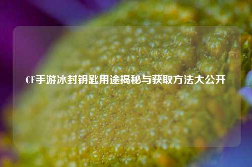 CF手游冰封钥匙用途揭秘与获取 大公开