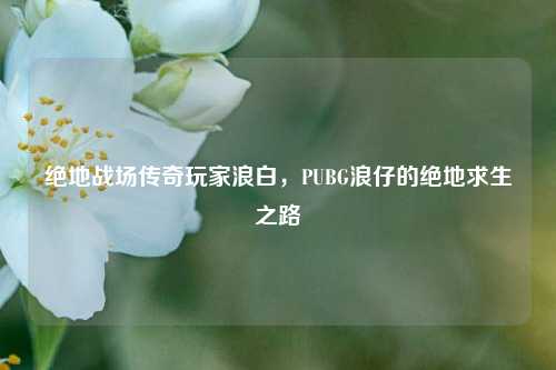 绝地战场传奇玩家浪白,PUBG浪仔的绝地求生之路