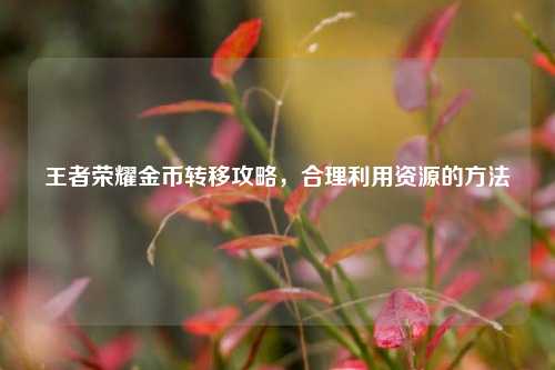 王者荣耀金币转移攻略,合理利用资源的