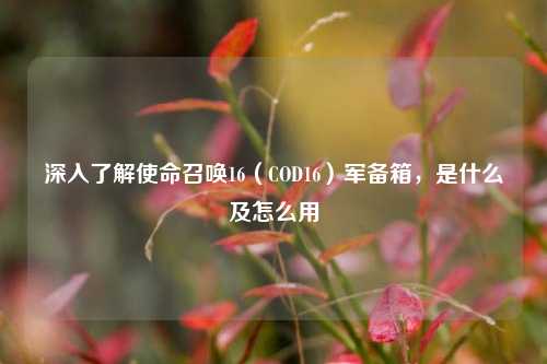 深入了解使命召唤16(COD16)军备箱,是什么及怎么用